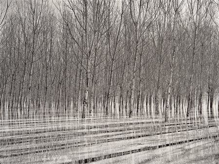 Manuel Cicchetti (XX sec.)  - Senza titolo, 2019