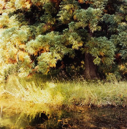 Giovanni Chiaramonte (1948)  - Senza titolo, Sorgente del Tevere