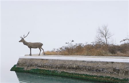 Silvia Camporesi (1973)  - Fantasmi #0 (il cervo), 2011