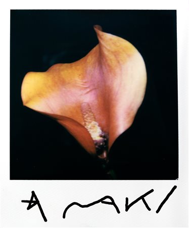 Nobuyoshi Araki (1940)  - Orange Kala, years 2000