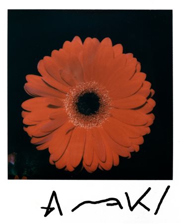 Nobuyoshi Araki (1940)  - Gerbera, years 2000