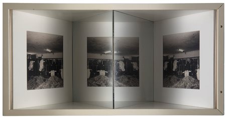 Thomas Ruff (1958)  - 3D-Schwarzwald (Jungbullen), 1994