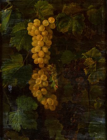 Natura morta con grappoli d'uva - Alcune macchie sul retro. cm 50x39,5