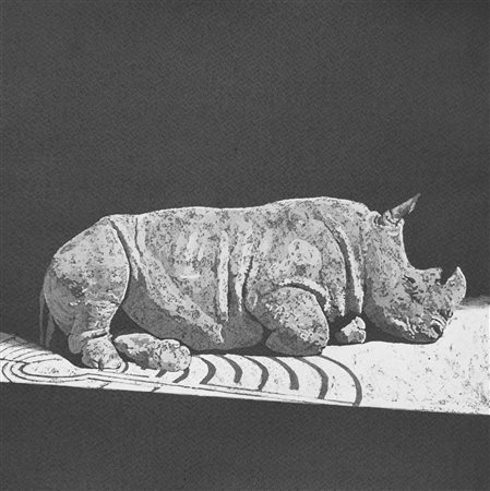 Rinoceronte in un labirinto