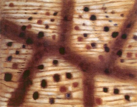 ANTON ZORAN MUSIC (1909-2005) Ombre sul Carso 1958 Olio su tela cm 114x146...