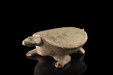 Tartaruga in terracotta con tracce di pigmento argento-verde. Lotto accompagnat