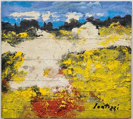 SERGIO SCATIZZI - Senza titolo