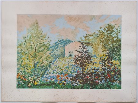 MICHELE CASCELLA - Senza titolo