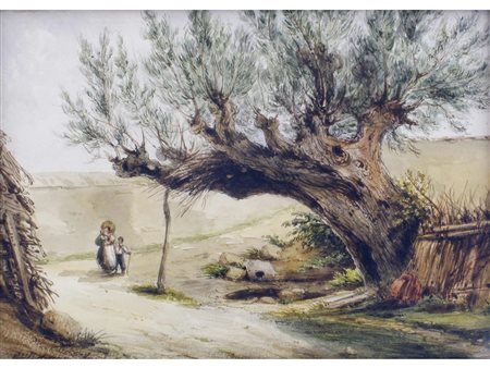 Carlo Ferrari detto il Ferrarin (Verona 1813-1871) Gelso Acquarello su carta...