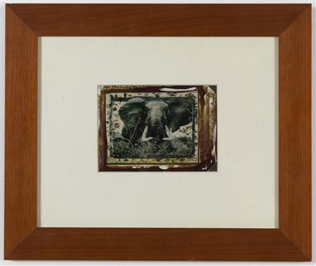 BEARD PETER (1938 - 2020) - Iber in Tsavo North.