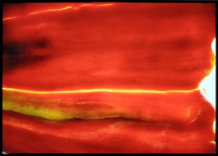 PASCANIUC LIA (n. 1981) - Però!!.