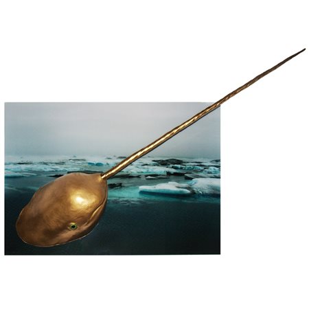 PASCANIUC LIA (n. 1981) - I migranti ambientali dove andranno?.