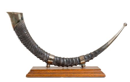 TROFEO INGLESE del 1900 Corno di antilope montato in argento su base in legno...