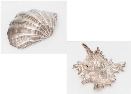 COPPIA DI CONCHIGLIE Ciascuna placcata in argento. Rispettivamente di Cm...