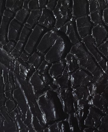 ALBERTO BURRI. DALLA CONCRETEZZA REALE ALL'INCANTO DELLA FORMA A cura di...