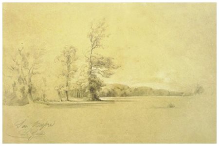 GALLI San Rossore Pastelli su carta 28 x 43,5. Titolo e firma in b. a s.