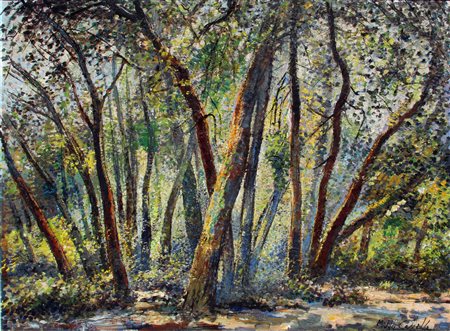 CASCELLA  Michele, Foresta nelle montagne di Santa Cruz