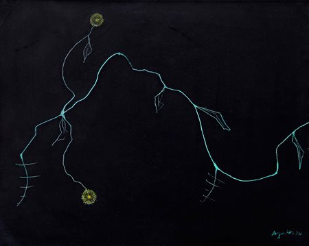 AGNETTI Vincenzo, Photo-Graffia