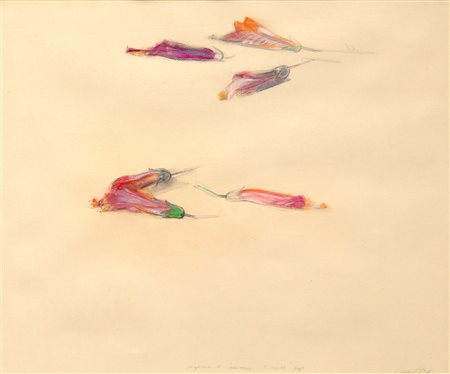 GUCCIONE  Piero, Pagine di Ibiscus