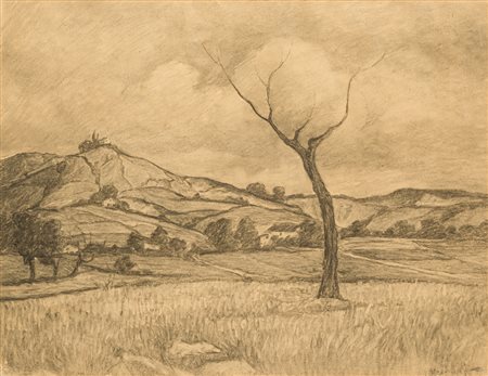 G. MEINERI - Senza Titolo