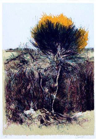 GIANCARLO CAZZANIGA, Ginestra