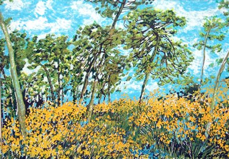 MICHELE CASCELLA, Ginestre a S. Luigi, 1984