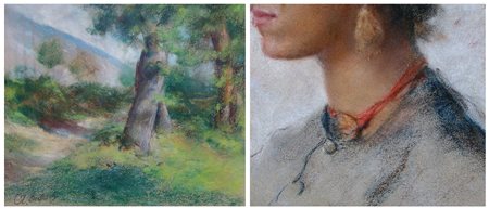 AMEDEO TEDESCHI, Studio di alberi