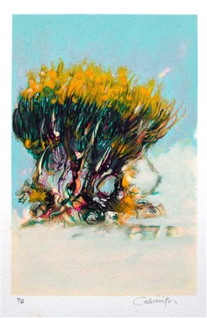 GIANCARLO CAZZANIGA, Ginestre