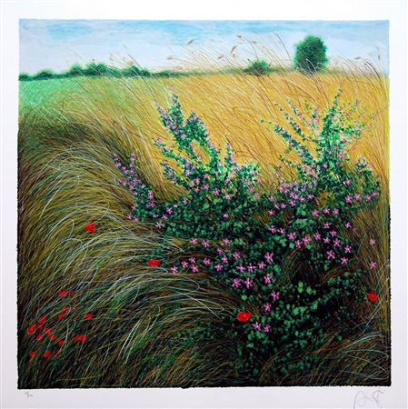 FRANCO AZZINARI, Il cespuglio fiorito