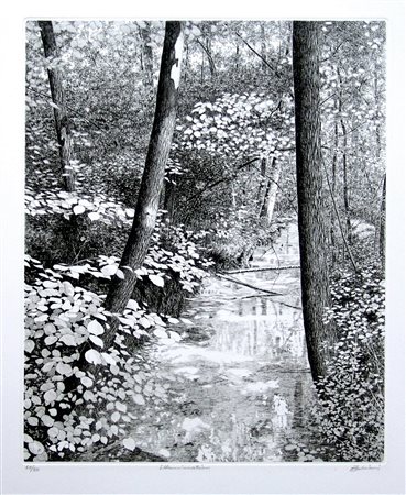 AGOSTINO ZALIANI, Illumination, 2003