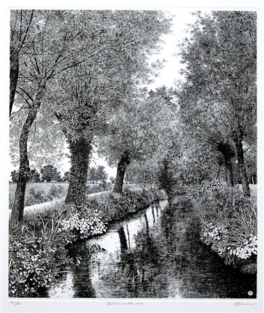AGOSTINO ZALIANI, Salici sulla riva, 1994