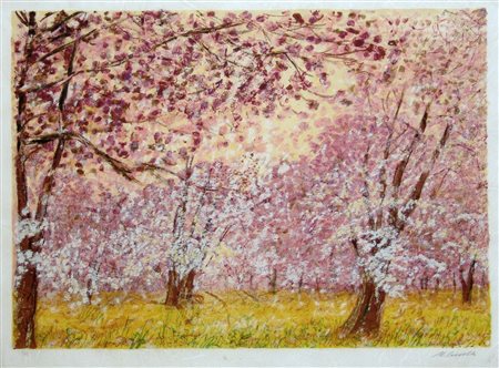 MICHELE CASCELLA, senza titolo