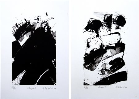 GIANNI REALINI, Campi