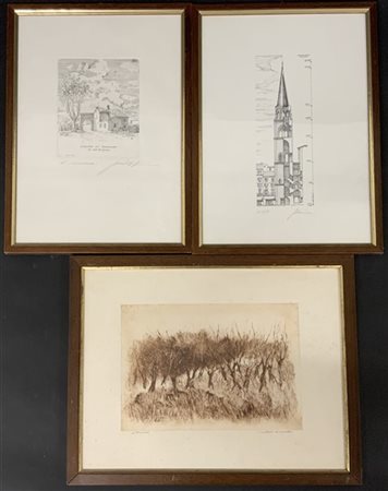 Lotto composto da sei incisioni di autori e misure diverse, raffiguranti alberi