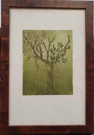 Ignoto "Albero"
stampa a colori, cm 30x20
In cornice