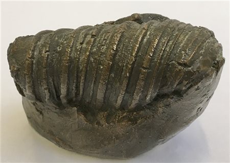 Amilcare Rambelli "Senza titolo" 
scultura in bronzo
h cm 10
firmata sotto la ba