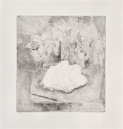 Markus Vallazza Natura morta con conchiglia, 1983;Acquaforte, 35 x 33 cm...