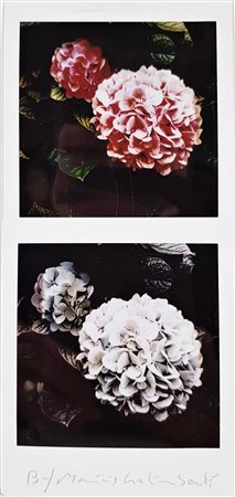 GALIMBERTI MAURIZIO Como 1956 "biflowers" 