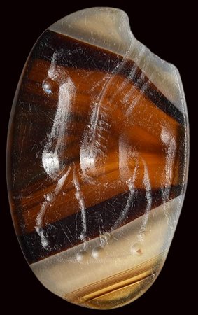 A roman italic banded agate intaglio. Pegasus. 