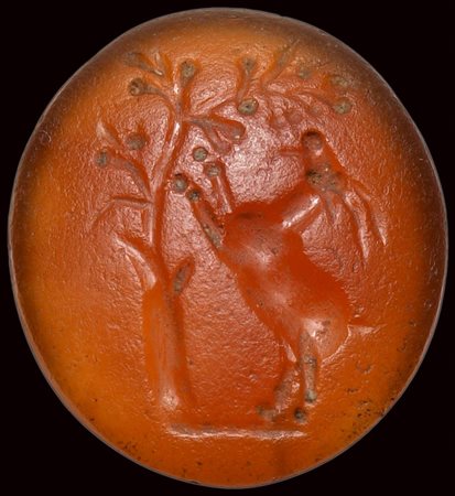 A roman carnelian intaglio. A goat under a tree. 