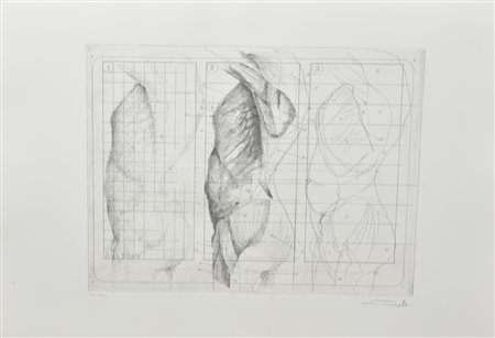 Sebastiano Trovato ANATOMY cartella contenente 5 acqueforti su carta, battuta...