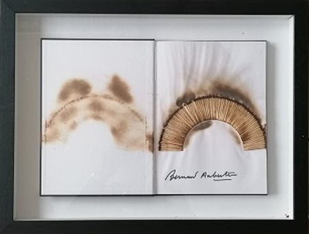 Bernard Aubertin “Livre Brùlè Rosenberg” 2010