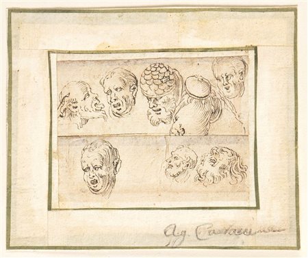 Studio di sette teste