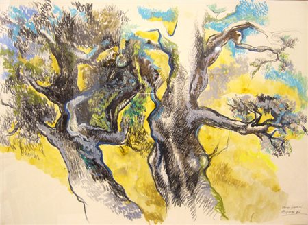 Murer Augusto " vecchi frassini " Tecnica mista / pastello ad olio su carta...
