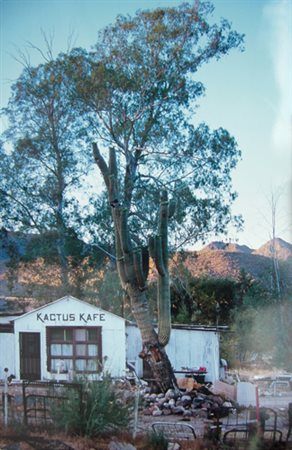 Fontana Franco " Route 66- Arizona fotografia Agfa Professional cm 65 x 100...