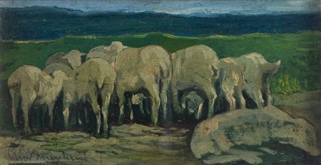 GIOVANNI MARCHINI (Forlì 1877 – 1946) “Studio di pecore”, 1903. Olio su...