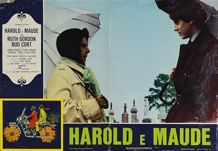 ASHBY HAL  (1929 - 1988) - Harold e Maude.