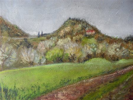 Maria Rosa Ambrosi - Monte Sumano