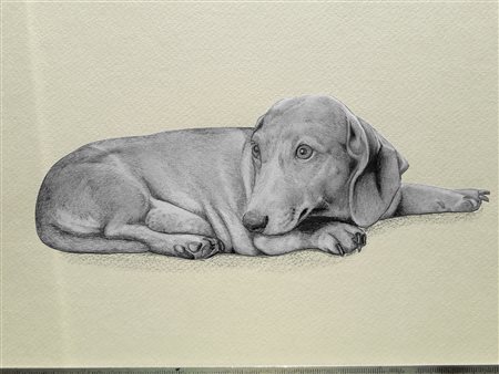 Silvia Bertuzzo - Bassotto