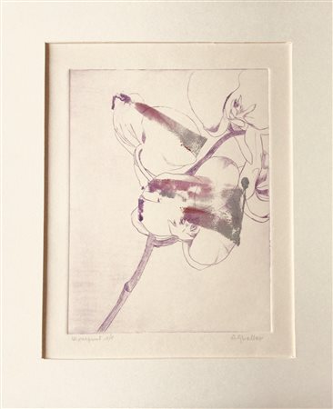 Annalisa Gheller - Orchidea
